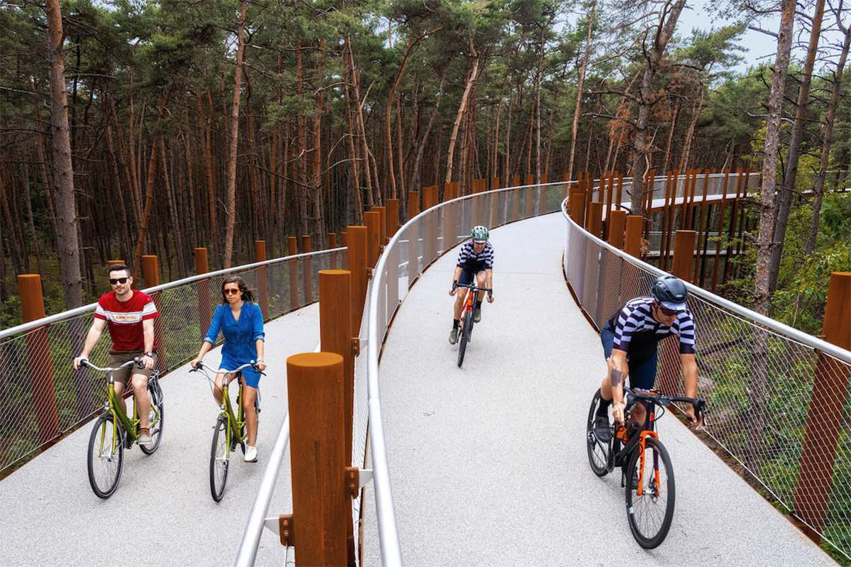 Dei ciclisti pedalano sulla nuova pista ciclabile circolare sopraelevata sulla foresta belga